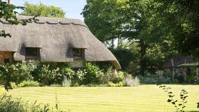 the thatch