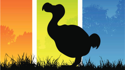 us biotech firm completes 95 of dodos genome and identifies gene editing targets could the extinct bird come alive again through its closest living relative the nicobar pigeon