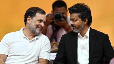 vijay rahul