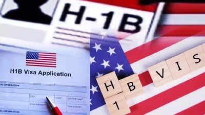 vineet nayar said the visa headlines are not worrying him