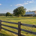 williams mother excluded him from her will which included her share of the land representational photo