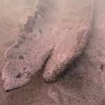 wisconsin diver finds 17 foot canoe underwater radiocarbon dating puts it at 1000 years