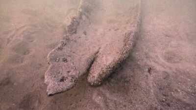wisconsin diver finds 17 foot canoe underwater radiocarbon dating puts it at 1000 years