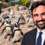 zohran mamdani announces 2 million investment in new york aquarium renovation money will support upgrades to sea cliffs exhibit housing seals sea otters and sea lions
