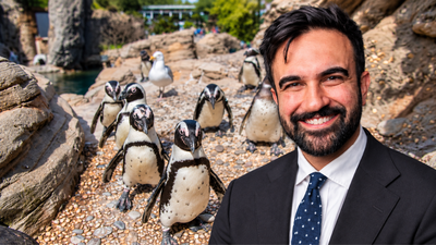 zohran mamdani announces 2 million investment in new york aquarium renovation money will support upgrades to sea cliffs exhibit housing seals sea otters and sea lions